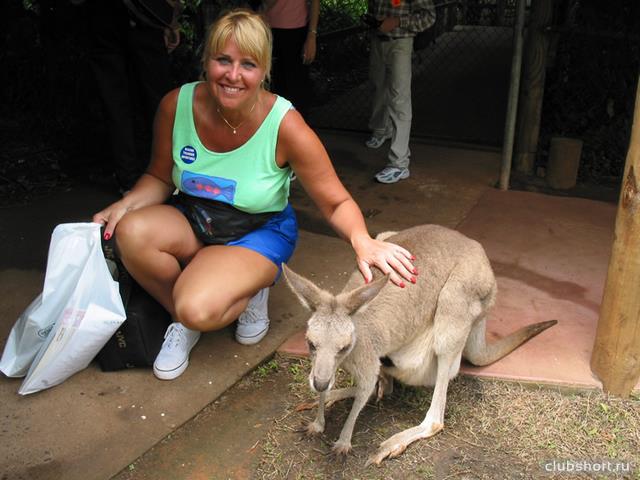 45247_lav-kangaroo-aus.jpg